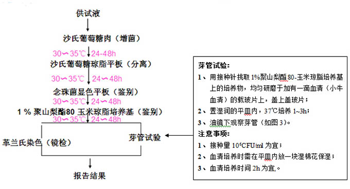 白色念珠菌檢測(cè)流程