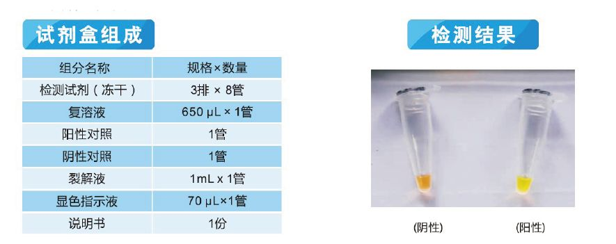 銅綠假單胞菌檢測試劑盒