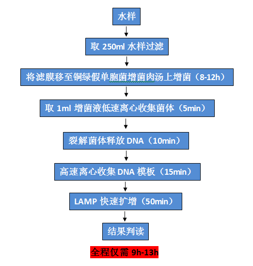 銅綠假單胞菌檢測試劑盒