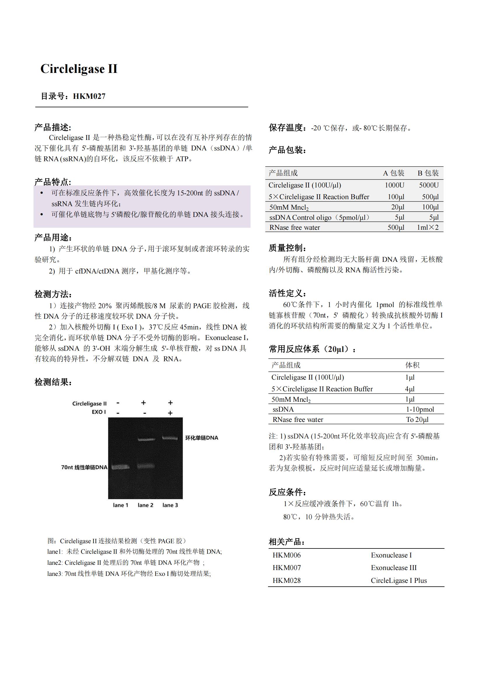 Circleligase Ⅱ（環(huán)狀連接酶）產(chǎn)品說明書