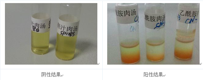 將產(chǎn)熒光的菌落的純培養(yǎng)物接種到乙酰胺肉湯中36℃培養(yǎng)24h，加入鈉氏試劑