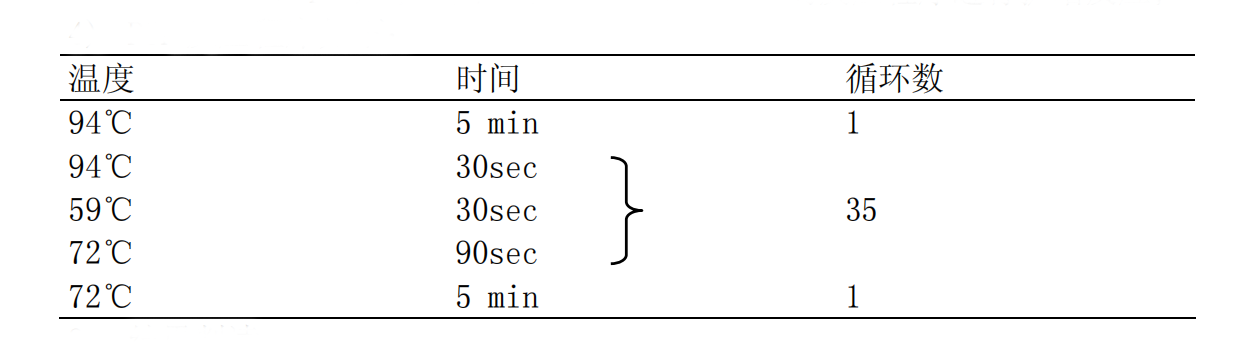 EPEC-STEC-EHEC多重PCR檢測試劑盒PCR反應(yīng)程序