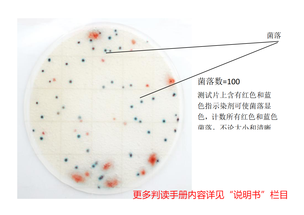 快速菌落總數(shù)測試片判讀手冊(cè)