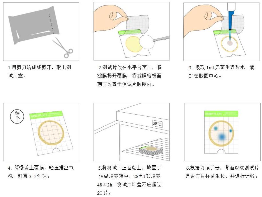 Handy plate®快速霉菌酵母測試片（適用濾膜） 操作圖解