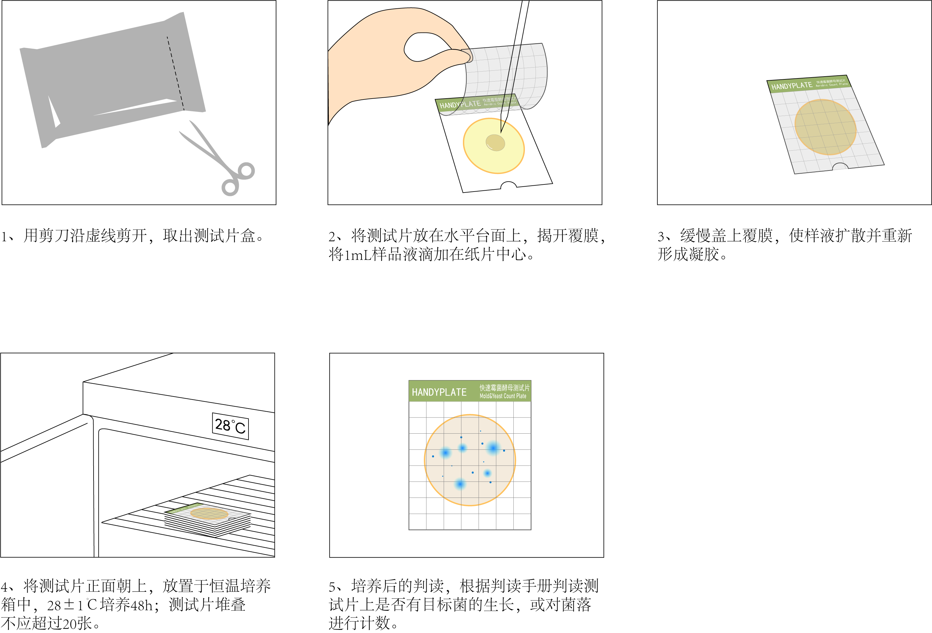 HandyPlate®快速霉菌酵母測試片 操作圖解