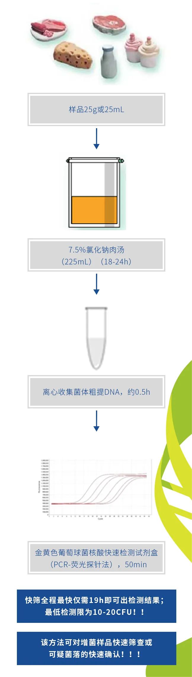 金黃色葡萄球菌實(shí)時(shí)熒光PCR快檢法