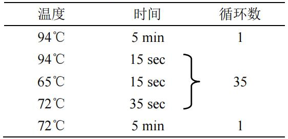 PCR 反應(yīng)程序